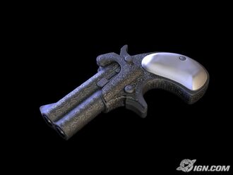 Ladies Gun.jpg