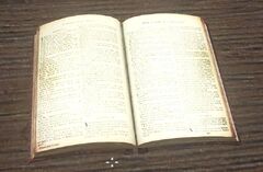 CoJ Holy Bible.jpg