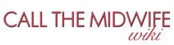 Wiki-wordmark.png