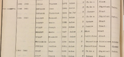 1931 census
