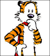 61D hobbes