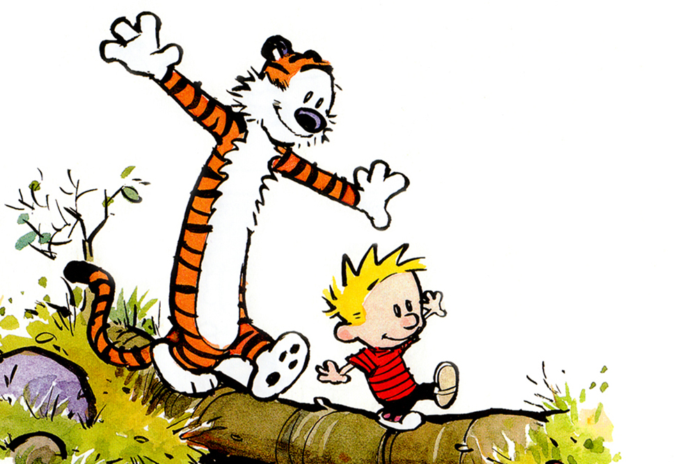 Calvin And Hobbes The Animated Series Calvin And Hobbes Fanon Wiki