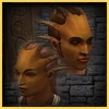 Shar race icon