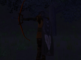 Fool's Bow