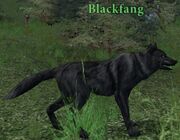 Blackfang.jpg