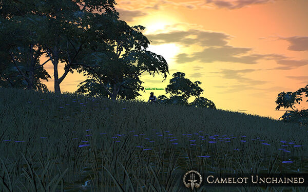 CU Sunset.jpg