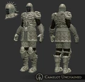 Viking medium armor