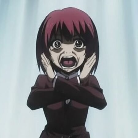 Toradora Cameos Wiki Fandom Is an anime television series adapted from the light novel series of the same title written by yuyuko takemiya and illustrated by yasu. toradora cameos wiki fandom