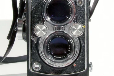 Braun Paxina | Camerapedia | Fandom