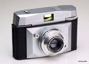 Lince s