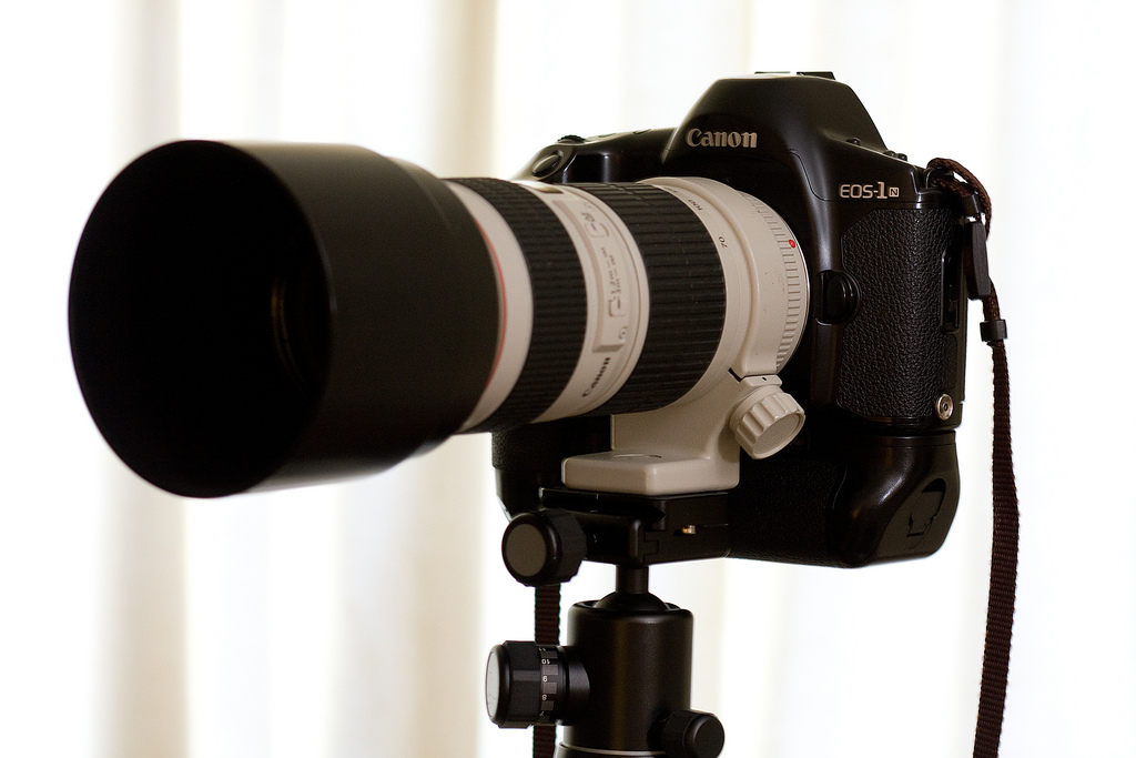 Canon EOS 1 | Camerapedia | Fandom