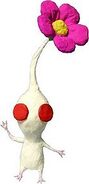 A white flower pikmin.