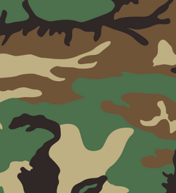 M81 Woodland, Camouflage Wiki