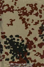 German desert flecktarn