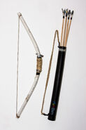 Brenna's bow and arrows