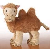 C) Aimee's Camel stuffed animal