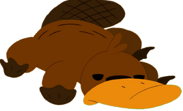 Platypus
