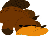 Platypus