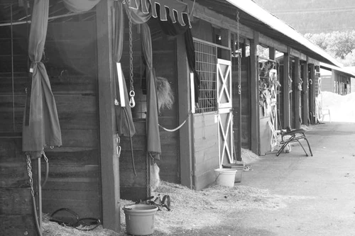 Stables