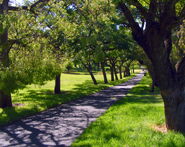 Take a stroll on this scenic park walkway!