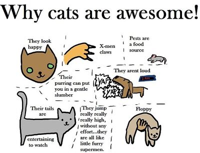 CATS.jpg