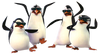 Four penguins