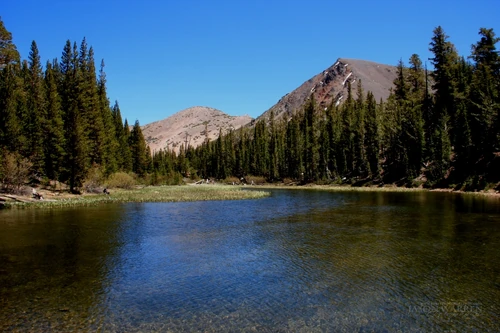 Mountain Pond