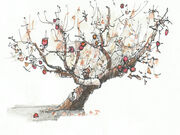 Apple tree