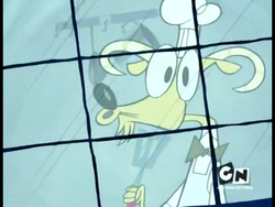 Chef Heimlich McMuesli Gallery Camp Lazlo Wiki Fandom