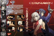 Alternate DVD Cover and Back 2