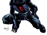 Raven