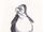 Penguin of Ipanema