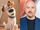 The Secret Life Of Pets 2 (Louis C. K version)