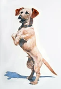 Odie's early movie design 2