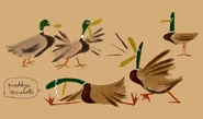 Duck.jpg (89 KB)
