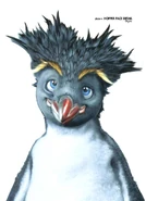 02HOPPER face detail.jpg (49 KB)