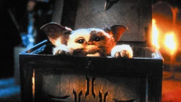 A Gremlin.