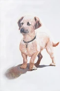 Odie's early movie design