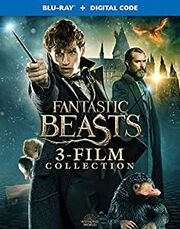 Fantastic Beasts blu ray