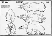 KANDU model sheet