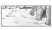 Tusker-panels 3