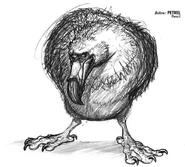 15PETREL.jpg (104 KB)