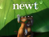 Newt