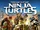 Teenage Mutant Ninja Turtles: Out of the Shadows sequels