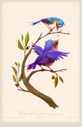 Image-asset Jack & Ben.webp (240 KB)