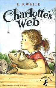 The book cover.