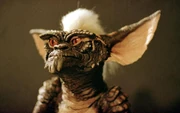 Gremlin