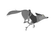 Piko