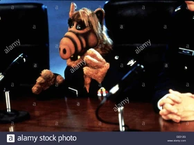 Project- ALF photo 