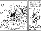 Snow fort